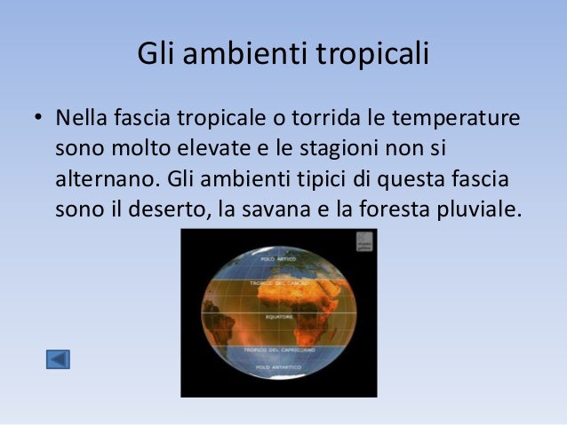 Mappa Concettuale Fascia Climatica