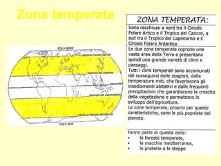 Zona temperata

 