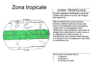 Zona tropicale

 