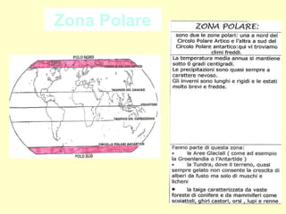 Zona Polare

 