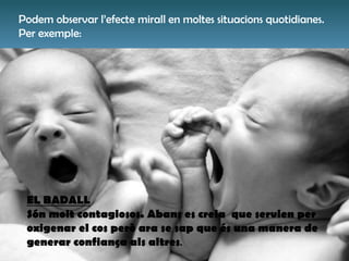 Podem observar l’efecte mirall en moltes situacions quotidianes.
Per exemple:
EL BADALL
Són molt contagiosos. Abans es creia que servien per
oxigenar el cos però ara se sap que és una manera de
generar confiança als altres.
 