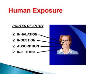 ROUTES OF ENTRY
 INHALATION
 INGESTION
 ABSORPTION
 INJECTION
Human Exposure
 