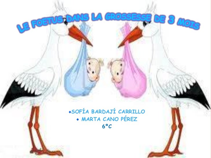 Le Foetus Dans La Grossesse De 3 Mois Martacano Y Sofiabardaji Le Foetus Dans La Grossesse De 3 Mois Martacano Y Sofiabardaji