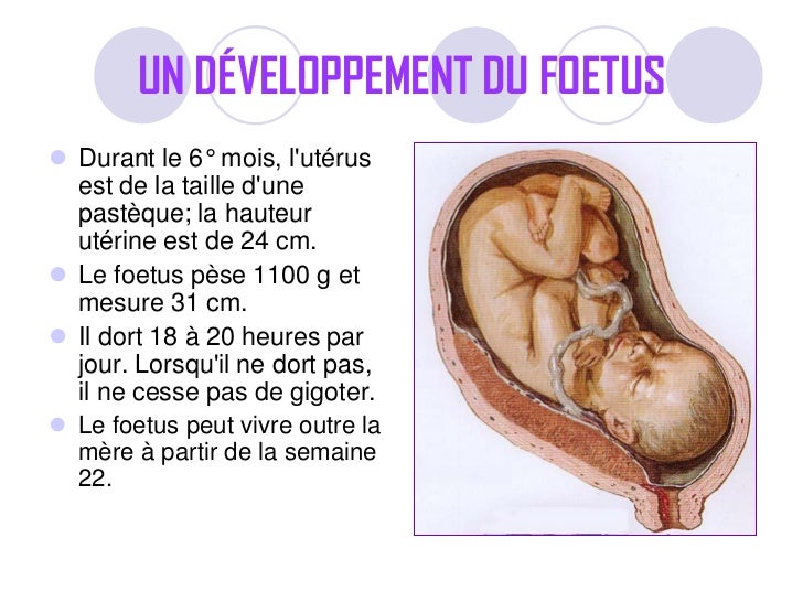 image d'un foetus de 6 mois