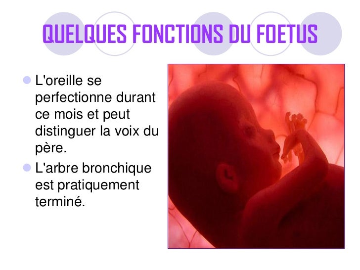 image d'un foetus de 6 mois