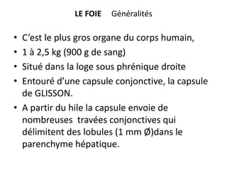 LE FOIE   Généralités

• C’est le plus gros organe du corps humain,
• 1 à 2,5 kg (900 g de sang)
• Situé dans la loge sous phrénique droite
• Entouré d’une capsule conjonctive, la capsule
  de GLISSON.
• A partir du hile la capsule envoie de
  nombreuses travées conjonctives qui
  délimitent des lobules (1 mm Ø)dans le
  parenchyme hépatique.
 