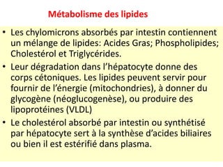 Métabolisme des lipides
• Les chylomicrons absorbés par intestin contiennent
  un mélange de lipides: Acides Gras; Phospholipides;
  Cholestérol et Triglycérides.
• Leur dégradation dans l’hépatocyte donne des
  corps cétoniques. Les lipides peuvent servir pour
  fournir de l’énergie (mitochondries), à donner du
  glycogène (néoglucogenèse), ou produire des
  lipoprotéines (VLDL)
• Le cholestérol absorbé par intestin ou synthétisé
  par hépatocyte sert à la synthèse d’acides biliaires
  ou bien il est estérifié dans plasma.
 