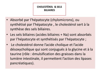 CHOLESTÉROL & SELS
                         BILIAIRES


• Absorbé par l’hépatocyte (chylomicrons), ou
  synthétisé par l’hépatocyte , le cholestérol sert à la
  synthèse des sels biliaires.
• Les sels biliaires (acides biliaires + Na) sont absorbés
  par l’hépatocyte et synthétisés par l’hépatocyte ;
• Le cholestérol donne l’acide cholique et l’acide
  désoxycholique qui sont conjugués à la glycine et à la
  taurine (rôle : émulsification des graisses dans la
  lumière intestinale, il permettent l’action des lipases
  pancréatiques).
 
