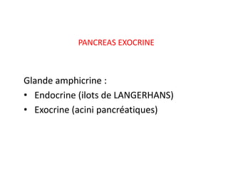 PANCREAS EXOCRINE



Glande amphicrine :
• Endocrine (ilots de LANGERHANS)
• Exocrine (acini pancréatiques)
 