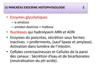LE PANCRÉAS EXOCRINE HISTOPHYSIOLOGIE         2


• Enzymes glycolytiques
    – α amylase
    – amidon dextrine + maltose
• Nucléases qui hydrolysent ARN et ADN
• Enzymes du pancréas, sécrétion sous formes
  inactives = proferments, (sauf lipase et amylase).
  Activation dans lumière de l’intestin.
• Cellules centroacineuses et Cellules de la paroi
  des canaux : Sécrétion d’eau et de bicarbonates
  (neutralisation du pH acide).
 