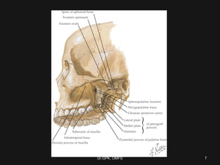 Dr.GPK, OMFSDr.GPK, OMFS 77
 