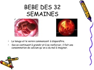 BEBE DES 32
                SEMAINES



•   Le lanugo et le vernix commencent à disparaître.
•   Ses os continuent à grandir et à se renforcer, il fait une
    consommation de calcium qu’ on a du mal à imaginer.
 