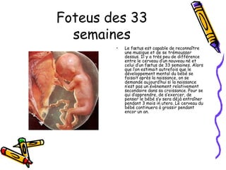 Foteus des 33
  semaines
        •   Le fœtus est capable de reconnaître
            une musique et de se trémousser
            dessus. Il y a très peu de différence
            entre le cerveau d’un nouveau né et
            celui d’un fœtus de 33 semaines. Alors
            que l’on estimait autrefois que le
            développement mental du bébé se
            faisait après la naissance, on se
            demande aujourd’hui si la naissance
            n’est pas un évènement relativement
            secondaire dans sa croissance. Pour se
            qui d’apprendre, de s’exercer, de
            penser le bébé s’y sera déjà entraîner
            pendant 3 mois in utero. Le cerveau du
            bébé continuera à grossir pendant
            encor un an.
 