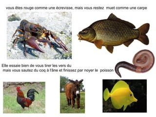 vous êtes rouge comme une écrevisse, mais vous restez muet comme une carpe




Elle essaie bien de vous tirer les vers du
...