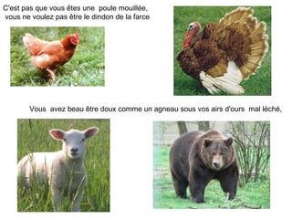 C'est pas que vous êtes une poule mouillée,
vous ne voulez pas être le dindon de la farce




        Vous avez beau être ...