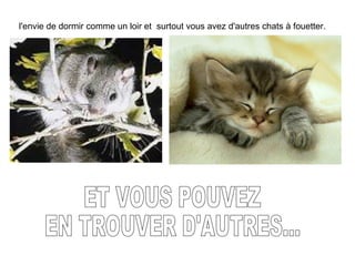 l'envie de dormir comme un loir et surtout vous avez d'autres chats à fouetter.
 