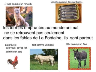 «serrés comme des sardines»
«Rusé comme un renard»




les termes empruntés au monde animal
 ne se retrouvent pas seulemen...