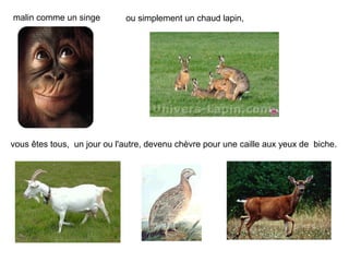 malin comme un singe         ou simplement un chaud lapin,




vous êtes tous, un jour ou l'autre, devenu chèvre pour une ...