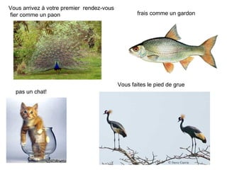 Vous arrivez à votre premier rendez-vous
fier comme un paon                                frais comme un gardon




     ...