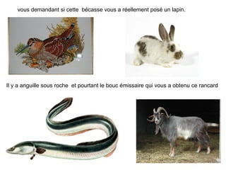 vous demandant si cette bécasse vous a réellement posé un lapin.




Il y a anguille sous roche et pourtant le bouc émissa...