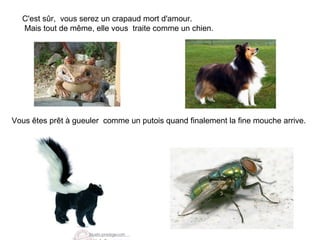 C'est sûr, vous serez un crapaud mort d'amour.
  Mais tout de même, elle vous traite comme un chien.




Vous êtes prêt à ...