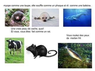 myope comme une taupe, elle souffle comme un phoque et rit comme une baleine.




      Une vraie peau de vache, quoi!
   ...