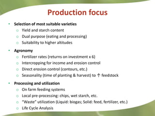 Research Highlights CIAT Asia