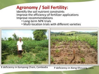 Research Highlights CIAT Asia