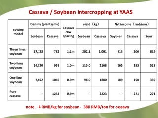 Research Highlights CIAT Asia