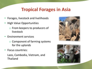 Research Highlights CIAT Asia