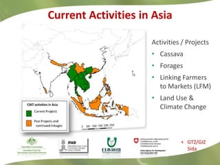 Research Highlights CIAT Asia