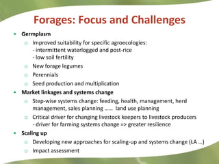 Research Highlights CIAT Asia