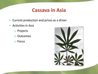 Research Highlights CIAT Asia
