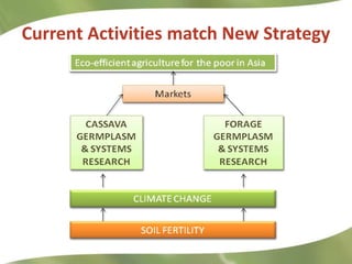 Research Highlights CIAT Asia