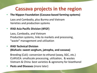 Research Highlights CIAT Asia