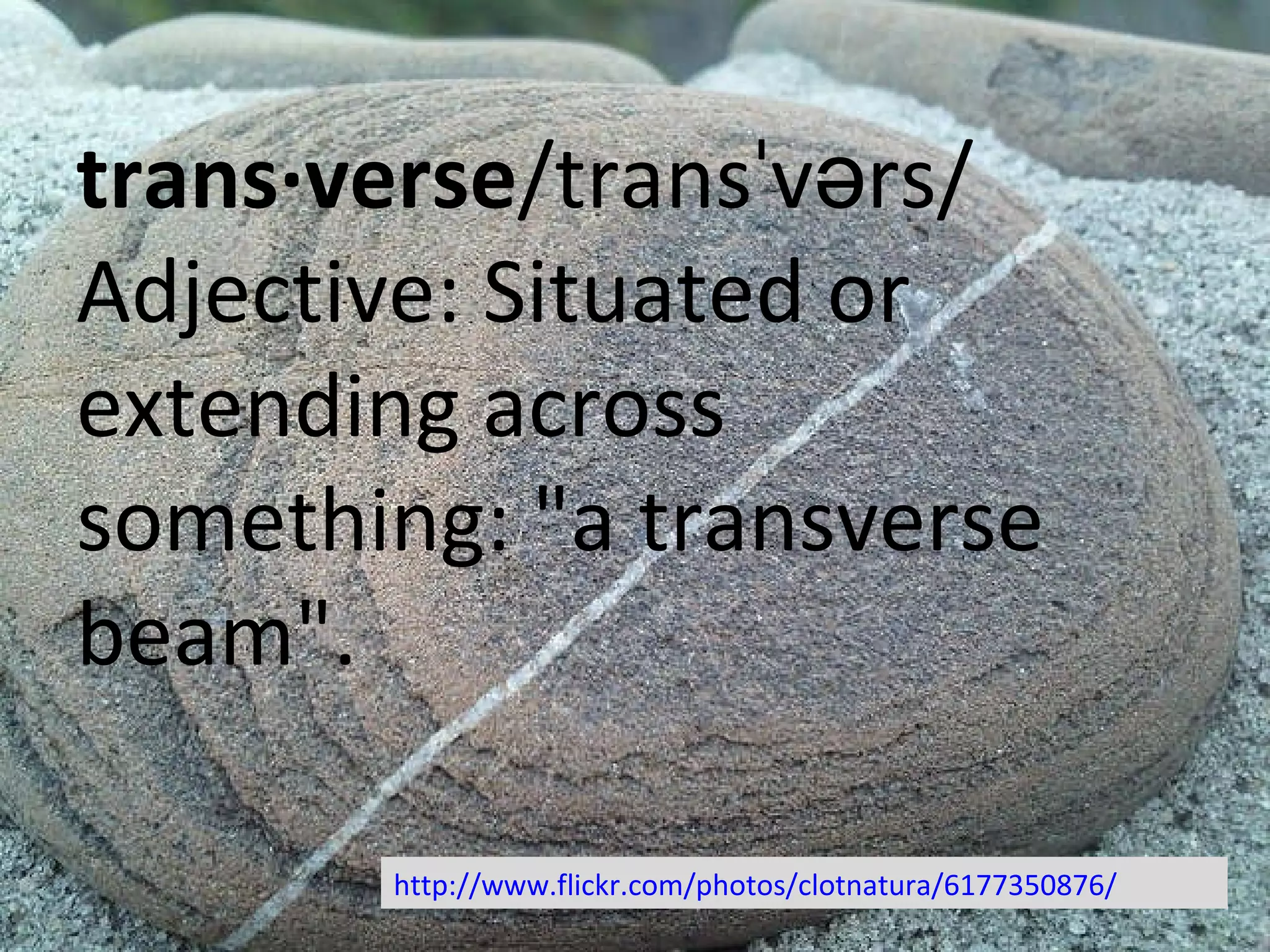 trans·verse /transˈvərs/ Adjective: Situated or extending across something: &quot;a transverse beam&quot;. http://www.flickr.com/photos/clotnatura/6177350876/ 