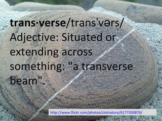 trans·verse /transˈvərs/ Adjective: Situated or extending across something: "a transverse beam". http://www.flickr.com/photos/clotnatura/6177350876/ 