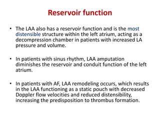 Reservoir function
• The LAA also has a reservoir function and is the most
distensible structure within the left atrium, acting as a
decompression chamber in patients with increased LA
pressure and volume.
• In patients with sinus rhythm, LAA amputation
diminishes the reservoir and conduit function of the left
atrium.
• In patients with AF, LAA remodeling occurs, which results
in the LAA functioning as a static pouch with decreased
Doppler flow velocities and reduced distensibility,
increasing the predisposition to thrombus formation.
 