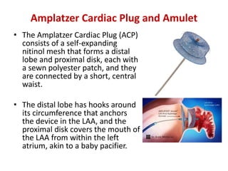 Amplatzer Cardiac Plug and Amulet
• The Amplatzer Cardiac Plug (ACP)
consists of a self-expanding
nitinol mesh that forms a distal
lobe and proximal disk, each with
a sewn polyester patch, and they
are connected by a short, central
waist.
• The distal lobe has hooks around
its circumference that anchors
the device in the LAA, and the
proximal disk covers the mouth of
the LAA from within the left
atrium, akin to a baby pacifier.
 