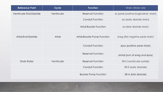 Reference Point Cycle Function Strain /Strain rate
Ventricular End-Diastole Ventricular Reservoir Function s (peak positive longitudinal strain)
ɛ
Conduit Function e (early diastole strain)
ɛ
Atrial Booster Function a (late diastole strain)
ɛ
Atrial End-Diastole Atrial Atrial Booster Pump Function neg (first negative peak strain)
ɛ
Conduit Function pos (positive peak strain)
ɛ
Reservoir Function
total (sum of neg and pos)
ɛ ɛ ɛ
Strain Rates Ventricular Reservoir Function SR-S (ventricular systole)
Conduit Function SR-E (early diastole)
Booster Pump Function SR-A (late diastole)
 