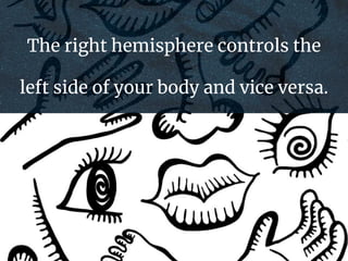 The right hemisphere controls the
left side of your body and vice versa.
 