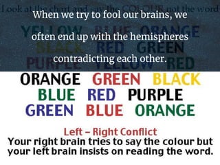 When we try to fool our brains, we
often end up with the hemispheres
contradicting each other.
 