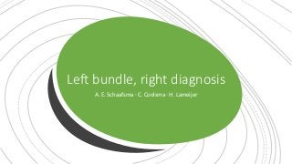Left bundle, right diagnosis
A. E. Schaafsma · C. Coolsma · H. Lameijer
 