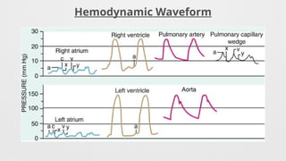 Hemodynamic Waveform
 