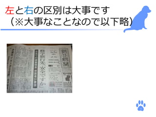 6 
代入演算子における 
左辺値・右辺値の例 
i = 42; 
リテラル“42” からなる式 
“42” の値（右辺値） 
 