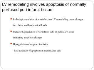LV remodeling involves apoptosis of normally
perfused peri-infarct tissue
Pathologic condition of postinfarction LV remodeling cause changes
in cellular and biochemical levels
Increased appearance of vacuolated cells in periinfarct zone
indicating apoptotic changes
Upregulation of caspase-3 activity
- key mediator of apoptosis in mammalian cells
 