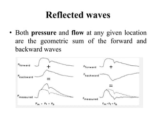 Reflected waves
• Both pressure and flow at any given location
are the geometric sum of the forward and
backward waves
 