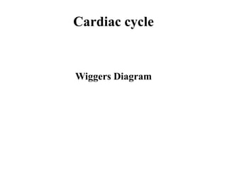 Cardiac cycle
Wiggers Diagram
 
