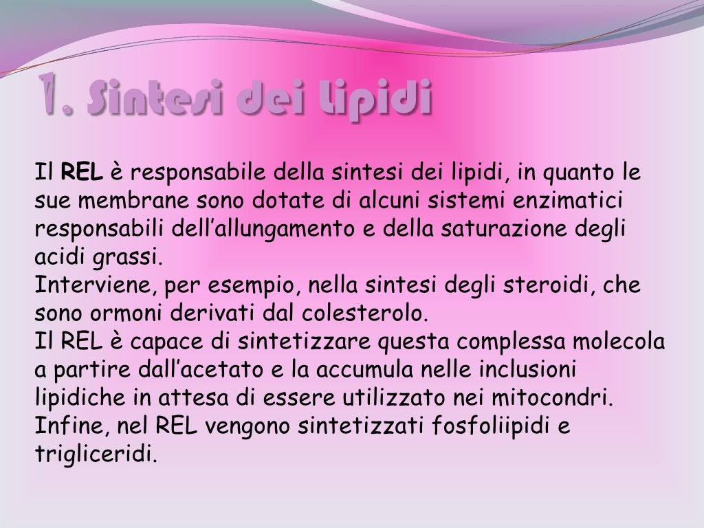 11 metodi di dominio epatoprotettore steroidi