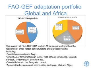 FAO-GEF adaptation portfolio
Global and Africa
The majority of FAO-GEF CCA work in Africa seeks to strengthen the
resilience of small holder agriculturalists and agroecosystems
Including:
•Coastal communities in Togo
•Small holder farmers through farmer field schools in Uganda, Berundi,
Senegal, Mozambique, Burkina Faso.
•Coastal fishers in the Benguela current.
•Agropastoral systems and communities in Angola, Mali and Niger.
 